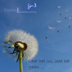 Afbeelding invoegen